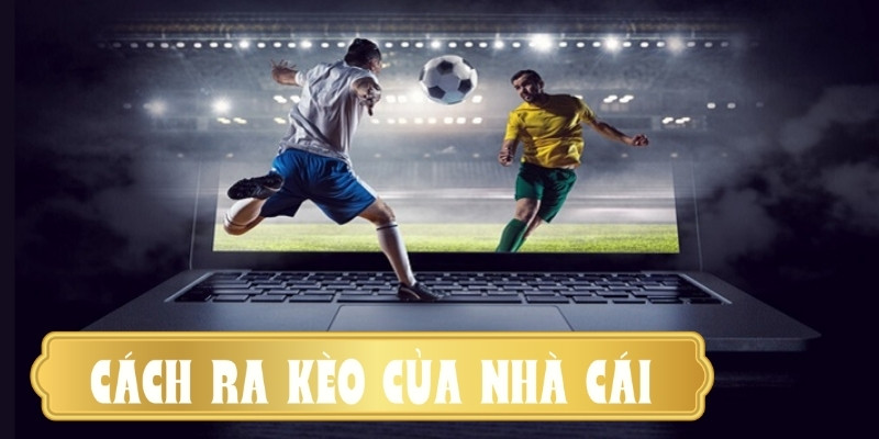 Cách ra kèo của nhà cái Win55: Quy trình mang đến thành công 1 cach ra keo cua nha cai 1