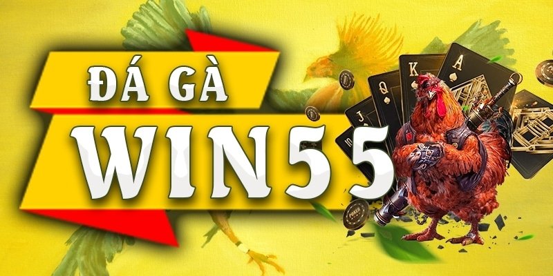 Đá gà chọi Win55 – Sân chơi đỉnh cao cho người yêu thích  1 da ga choi win55 1