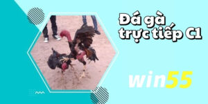 da ga truc tiep c1 1