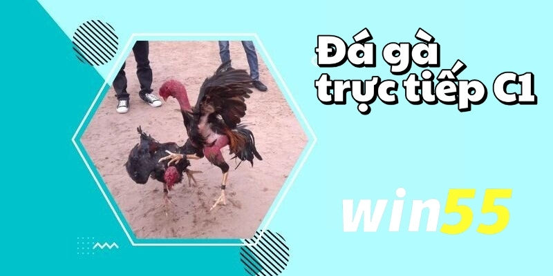 da ga truc tiep c1 1