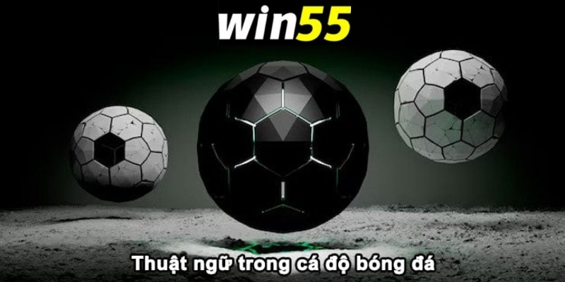 Thuật ngữ cá độ bóng đá Win55: Hướng dẫn cụ thể cho bạn mới 4 Việc hiểu rõ thuật ngữ bóng đá trong cá độ rất quan trọng